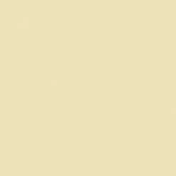 Bradley Corporation Bradley Bathroom Partition Touch Up Paint, 1 oz., Almond - HDWT-T342-2103